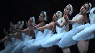 Le Lac des cygnes SaintPétersbourg Ballet Théâtre [upl. by Clevey]