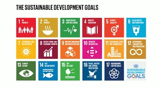 Do you know all 17 SDGs [upl. by Thevenot]