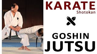 KARATE  SELF DEFENSE  GOSHIN JUTSU [upl. by Nodaj]