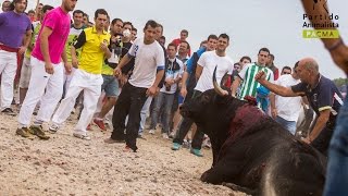 Toro de la Vega 2014 [upl. by Troyes420]