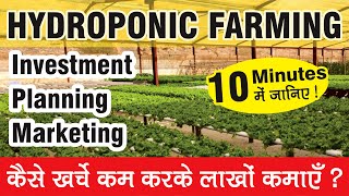 All about Hydroponic Farming in 10 minutes [upl. by Piane]