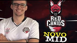 O NOVO MID LANER DA RED CANIDS  XICOCLIPS [upl. by Goto]