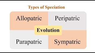 Types of Speciation [upl. by Marlow]