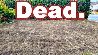 Easily FIX Your Dead Lawn NOW [upl. by Besnard283]