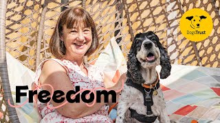 Can you help foster a dog 💛 Freedom  Dogs Trust [upl. by Asirrac678]