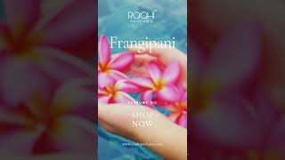 Frangipani  Perfume Oil  Handcrafted in Kannauj India [upl. by Riker]