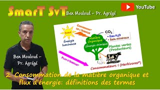 3Consommation de la Matière Organique et flux dénergie définitions [upl. by Siulesoj]