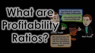 Profitability Ratios Explained [upl. by Anesor961]