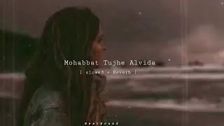 Mohabbat Tujhe Alvida  Slowed  Reverb [upl. by Nilesoy439]