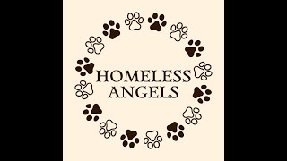 HOMELESS PAWS [upl. by Charo]