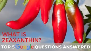 What is Zeaxanthin Top 5 Google Questions Answered [upl. by Juno]