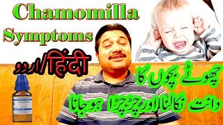 Chamomilla Safe For Babies Symptoms in Hindi [upl. by Silenay]