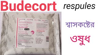 Budecort respules  Budesonide  Budecort respules Use  Dose  Side effects in Bengali [upl. by Nivlad764]