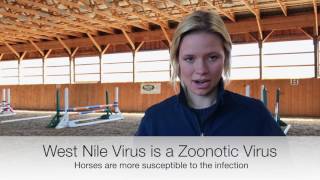 Equine Vaccinations West Nile Virus [upl. by Ulphi]