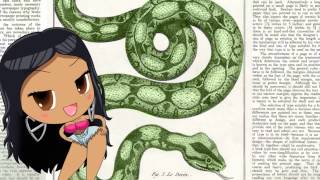 Anaconda The Educational Version [upl. by Hgiel904]