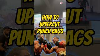 Perfecting Uppercuts on the Punch bag essential tips [upl. by Iinden]