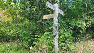 South downs woods brighton moulsecoomb station entrance [upl. by Nobel264]