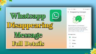 Whatsapp Disappearing Messages Full Details [upl. by Ibrad934]