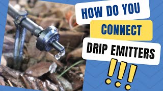 2 Methods for Installing Drip Emitters on your Irrigation System [upl. by Irmina778]