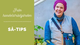 Sådder på Skillnadens handelsträdgård  tips och idéer [upl. by Ylra]