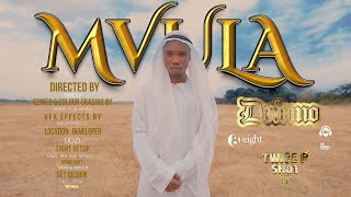 DRIEMO  Mvula Official music videoDirected By Twice P [upl. by Laurianne]