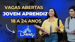 VAGAS DE JOVEM APRENDIZ NA DISNEY 2024  Inscrição COMPLETA 2024 [upl. by Aihsenod]