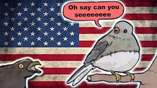 Annoyed Patriot Bird [upl. by Hilary]