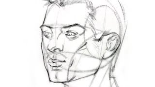 How to Draw the Head from Any Angle [upl. by Aniez823]