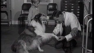 Lassie  Episode 125  quotInoculationquot  Season 4 22 2021958 [upl. by Eiramnerual734]