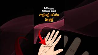 ඔබට සුදුසු රැකියාව දන්නවාද  😍🤔shortsfeed sinhala moneyfacts lifetips [upl. by Trimmer]