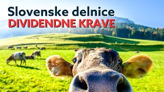 Slovenske delnice kot dividendne krave Na kaj pa moramo paziti [upl. by Hiamerej]