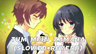 Tum Mein Zamana   SlowedReverb   Ajay Paul  lofi slowedandreverb [upl. by Arikahs]