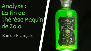 Analyse de lexcipit de Thérèse Raquin de Zola [upl. by Alia]