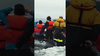 Chasing Orcas  Alaska  Lindblad Expeditions [upl. by Suiratnauq722]