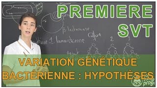 Variation génétique bactérienne  hypothèses possibles  SVT  1ère  Les Bons Profs [upl. by Susannah92]