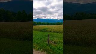 🫶CADES COVE 🫶 foryou nature cadescove bryanadams [upl. by Atikihs276]