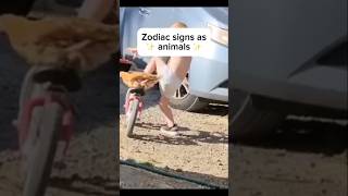 Zodiac signs as animals 6😂 zodiac zodiacsigns animals funny [upl. by Peterman765]