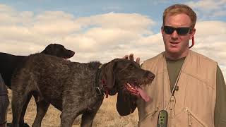 Hunting chukars in Idaho challenges hunters and their dogs [upl. by Suaeddaht]