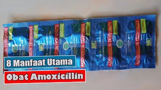 YUK KETAHUI INILAH 8 MANFAAT UTAMA OBAT AMOXICILLIN [upl. by Ikoek]