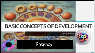 POTENCY  Basic concepts of developmental biology Developmental biology [upl. by Downall]