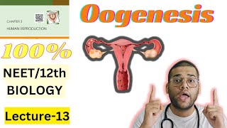 Oogenesis Class 12thNEET Oogenesis with notes for Board and NEET students Human Reproduction L13 [upl. by Alan454]