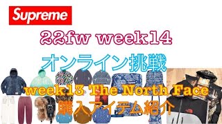 【 Supreme 】22fw week14 当日オンライン挑戦＆Week13購入アイテム紹介 [upl. by Kiki445]