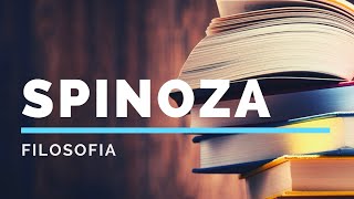 4 Spinoza l’Etica gli affetti primari e secondari [upl. by Aicnelav]