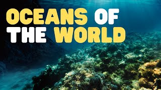 Oceans of the World for Kids  Learn all about the 5 Oceans of the Earth [upl. by Enahpets]