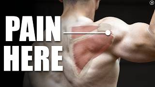 Rotator Cuff Tear Rehab amp Exercises Shoulder Pain Tendinitis Impingement [upl. by Treacy538]