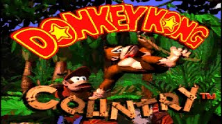 【DONKEY KONG COUNTRY】Vine Valley The first stage for Speedrunners【ALL BONUSES】【PART 3】 [upl. by Alburga]