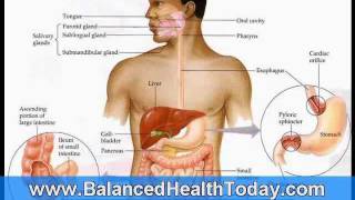 Liver and Gallbladder Flush Directions Part 1 [upl. by Nathanoj]