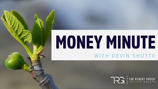 TRG Money Minute  Could we be witnessing the first sign of green shoots in South Africa [upl. by Pedrotti]