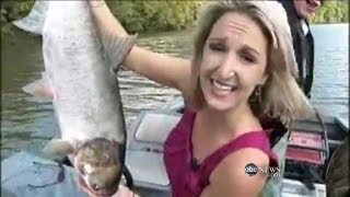 TV News Blooper Carp Takes Down Reporter [upl. by Boothman219]