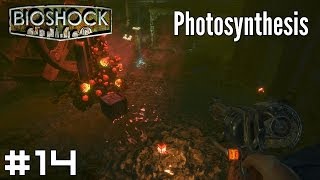 BioShock 14  Photosynthesis [upl. by Nance]